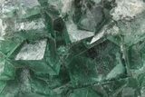 Green, Fluorescent, Cubic Fluorite Crystals - Madagascar #238386-3